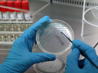 Бактериология повышение квалификации