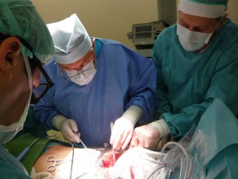 Дистанционное обучение для врачей по курсу «Сердечнососудистая хирургия»