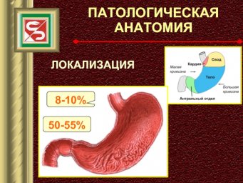 Дистанционное обучение для врачей по курсу «Патологическая анатомия»